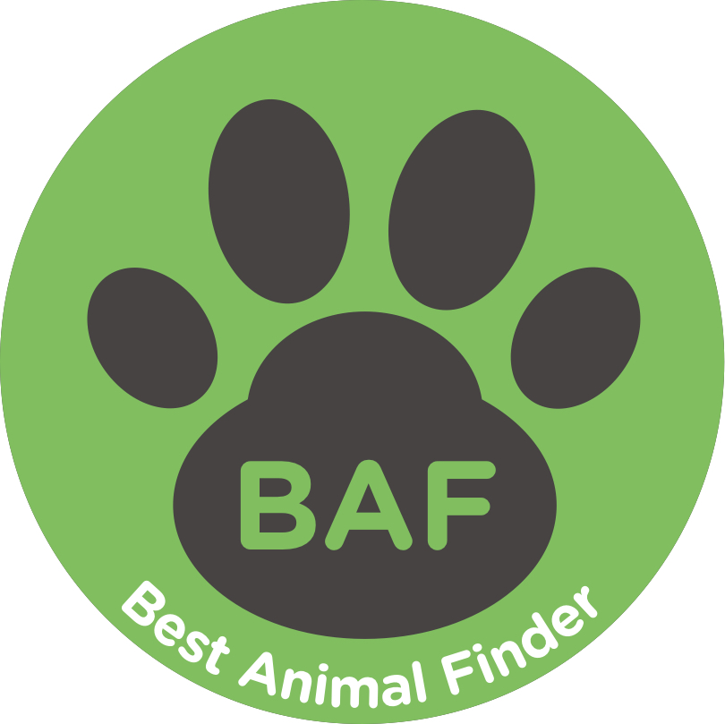 BAF - Best Animal Finder